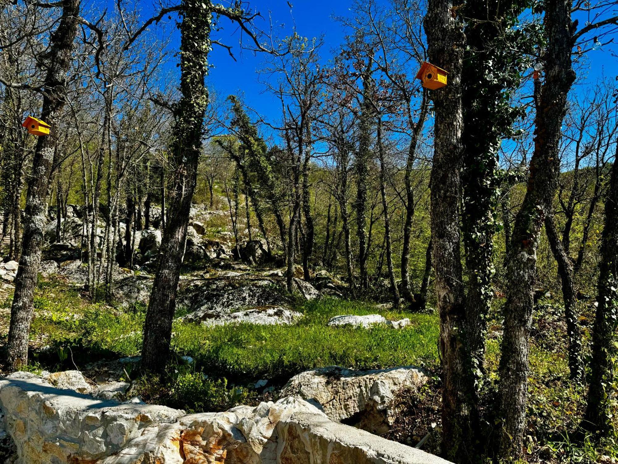 Luxury Villa Andrea Vrzika In Forest Near The Sea Zagvozd Εξωτερικό φωτογραφία